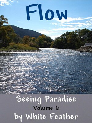 cover image of Seeing Paradise, Volume 6